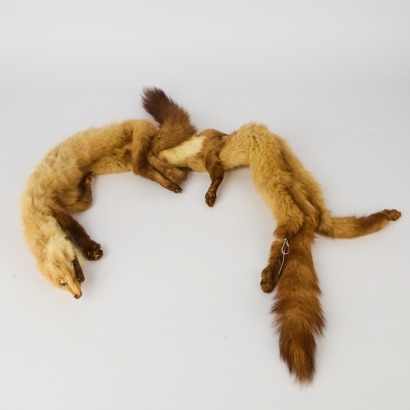 An Antique Mink Stole Made from Two Mink