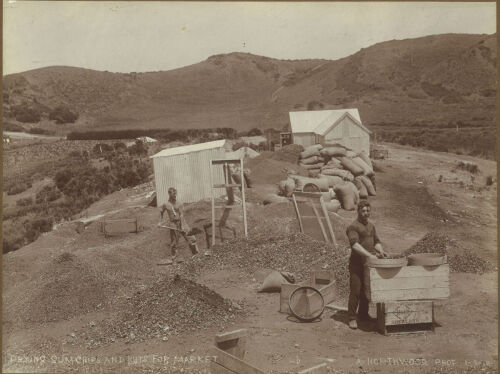 ARTHUR NORTHWOOD Drying Gum Chips and Nuts for Market