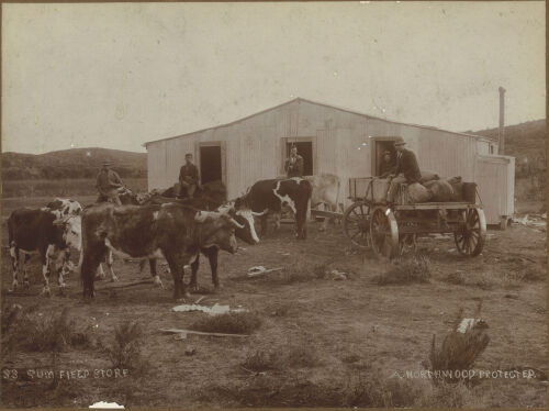 ARTHUR NORTHWOOD Gum Field Store