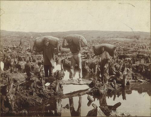 ARTHUR NORTHWOOD Kauri Gum, Maoris [sic] Carrying Home Days Take