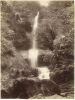 PHOTOGRAPHER UNKNOWN Lower Nihotupu falls