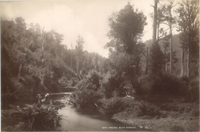 GEORGE VALENTINE New Zealand Bush Scenery