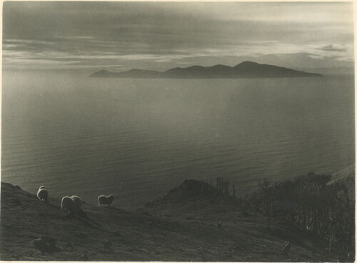 JAMES WALTER CHAPMAN TAYLOR Kapiti Island at Sunset