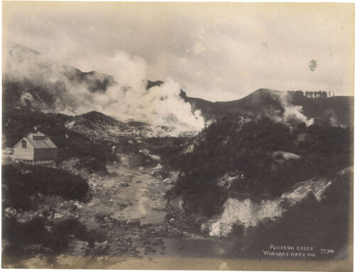 JOSIAH MARTIN Purenga Creek, Whakarewarewa