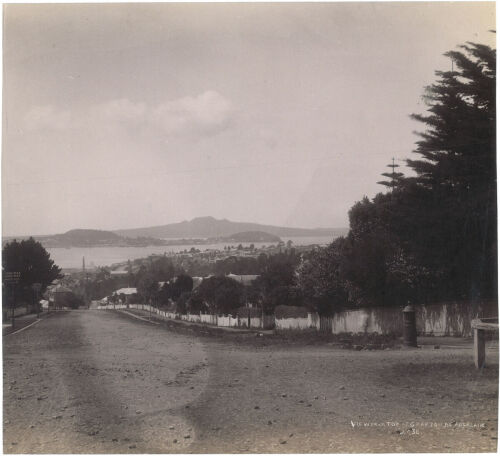 JOSIAH MARTIN View from top of Grafton Road, Auckland