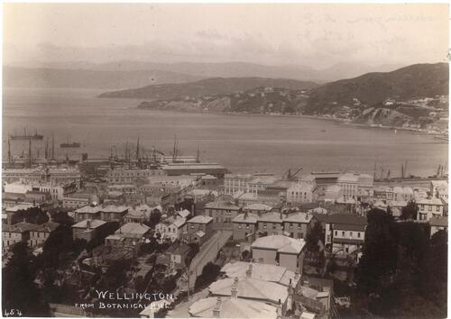 PHOTOGRAPHER UNKNOWN Wellington, From Botanical Hill