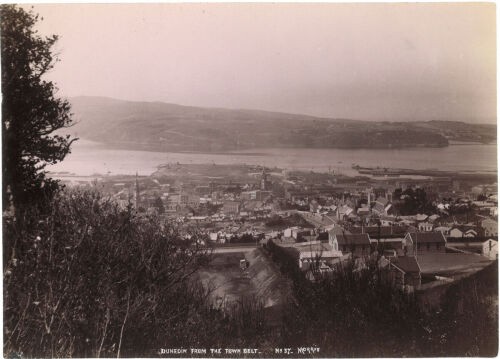 JOHN R MORRIS Dunedin from the Town Belt