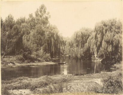 PHOTOGRAPHER UNKNOWN The Avon River, Christchurch