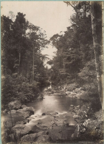 JOSIAH MARTIN Whangarei River