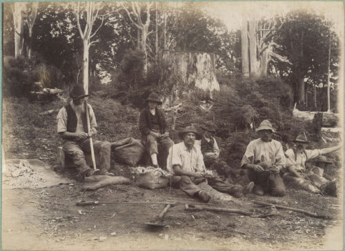 JOSIAH MARTIN Scraping Kauri Gum (Kauri gum diggers)