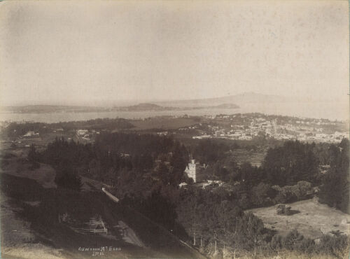 JOSIAH MARTIN View from Mt Eden