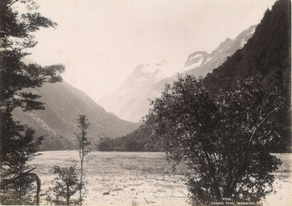 PHOTOGRAPHER UNKNOWN Cosmos Peak, Wakatipu