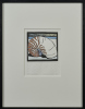 ROBIN WHITE Nautilus - 2