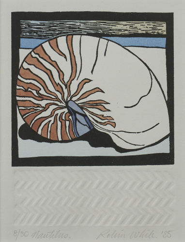 ROBIN WHITE Nautilus