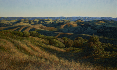 MARK CROSS Kaipara Hills Vista