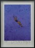 DICK FRIZZELL Diving Boy - 2