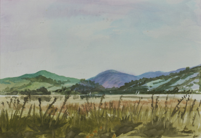 GERARD MILLS untitled