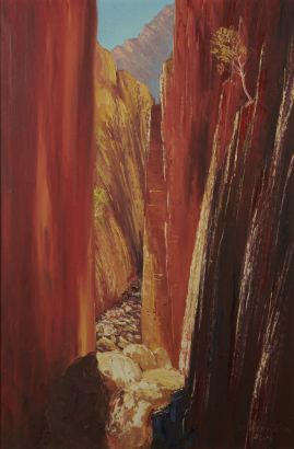 HENK GUTH Standley Chasm