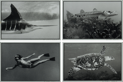 CHRIS ADAIRS untitled (quadriptych)