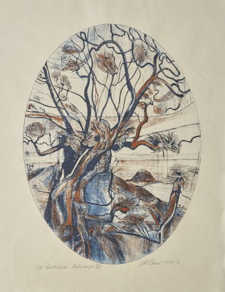 STANLEY PALMER Old Pohutukawa- Mahurangi