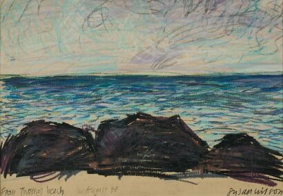 SUSAN WILSON From Thorne Beach