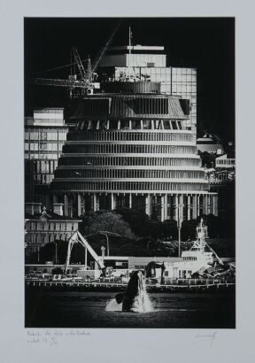 SIMON WOOLF Matariki, The Whale + The Beehive