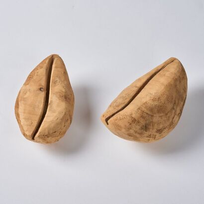 JOHN IOANE Two Cowrie Shells