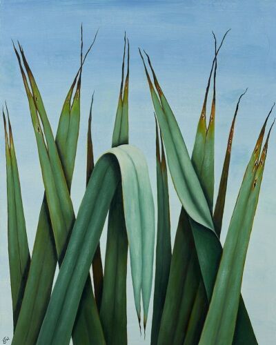 ROSALIE WILLIAMS Majestic