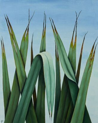 ROSALIE WILLIAMS Majestic