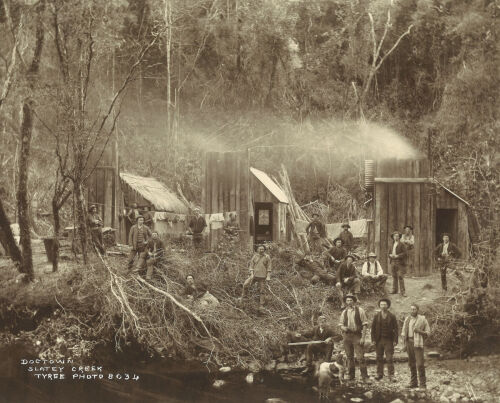 TYREE BROTHERS Dogtown, Slatey Creek