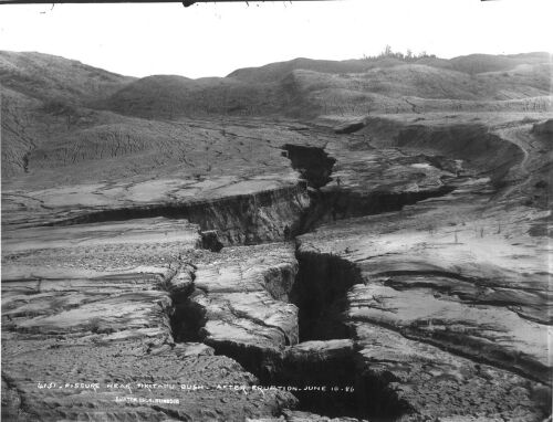 BURTON BROTHERS 4131-Fissure near Tikitapu Bush - After eruption - June 10-86