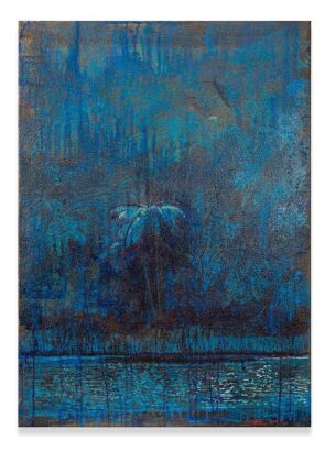 TURI PARK Study for Shadelands (Tapestry)