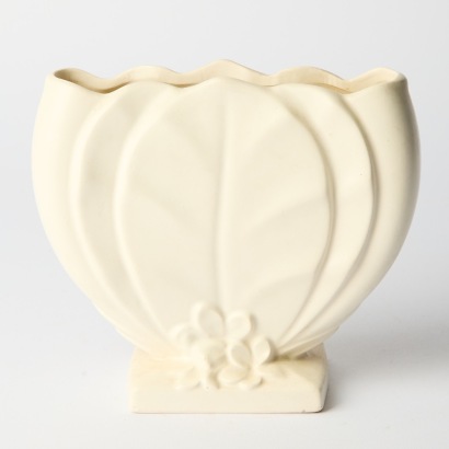 A White Beswick Magnolia