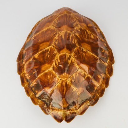 A Beautifully Patterned Antique Hawkesbill Turtle Shell