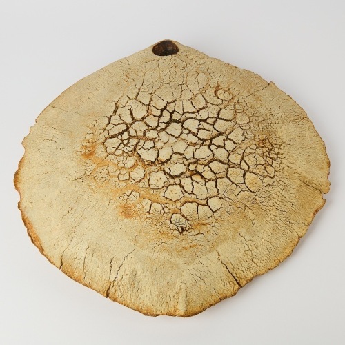 A Large Len Castle Avian Form Wall Hanger