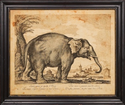 A Large Framed Replica Elephant Print with French Font