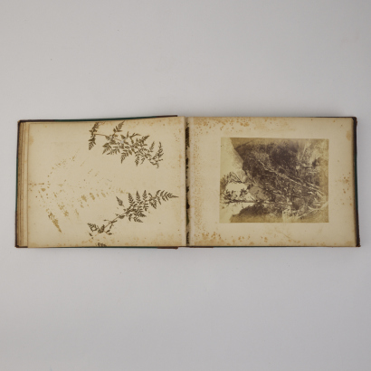 BURTON BROTHERS N. Z. Scenery album. 27 Burton Brothers albumen prints mounted to card, mostly topographical. &ldquo;Maoriland&rdquo; composite souvenir print and impressed fern fronds.