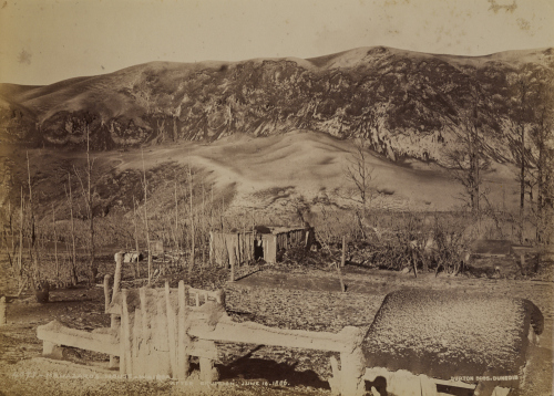 BURTON BROTHERS Mr Hazard's House, Wairoa, after eruption June 10 1886