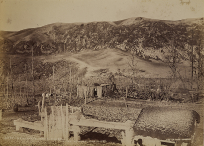 BURTON BROTHERS Mr Hazard's House, Wairoa, after eruption June 10 1886