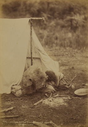 BURTON BROTHERS Unwilling Sitters, Tawhatu, King Counrty