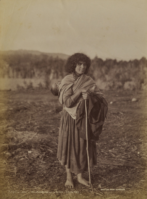 BURTON BROTHERS Ani, Taumurunui, King Country
