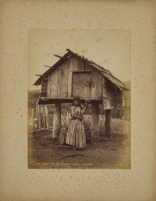 BURTON BROTHERS "Rane", at Taumaranui, King Country