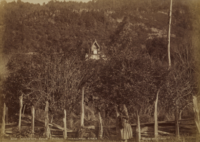 BURTON BROTHERS Kiototo's Tomb, Pipiriki, Whanganui River