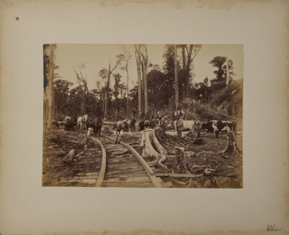 BURTON BROTHERS Booth's Sawmill, Carterton, Wairarapa