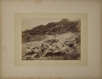 BURTON BROTHERS Crow's Nest, near Lofley's, Taupo