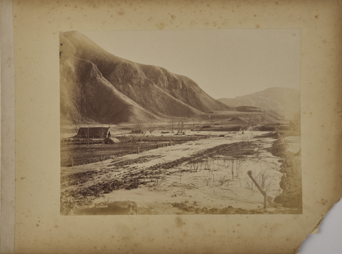 BURTON BROTHERS Wairoa, after eruption June 10 1886