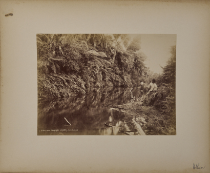 BURTON BROTHERS Waitakere Creek, Auckland