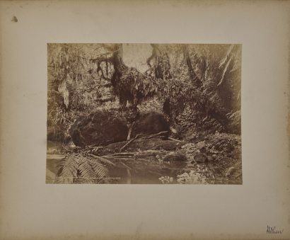 BURTON BROTHERS Nile Tapu Creek, Waitakere, Auckland