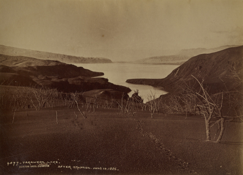 BURTON BROTHERS Lake Tarawera, after eruption June 10 1886