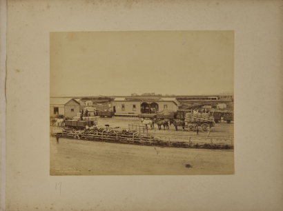 BURTON BROTHERS Outram, Dunedin